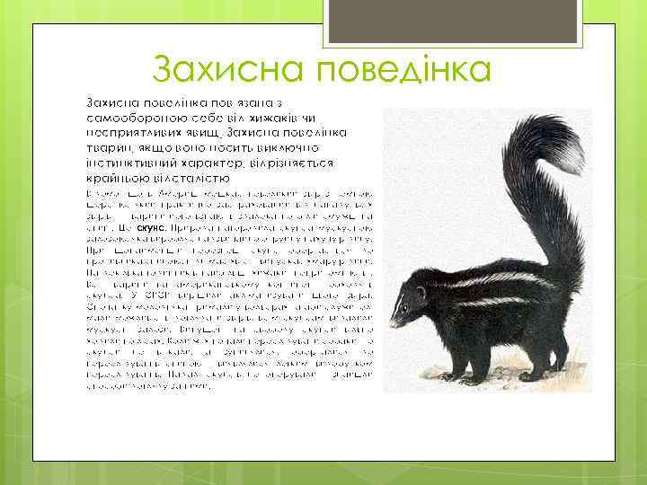 Захисна поведінка пов’язана з самообороною себе від хижаків чи несприятливих явищ. Захисна поведінка тварин,