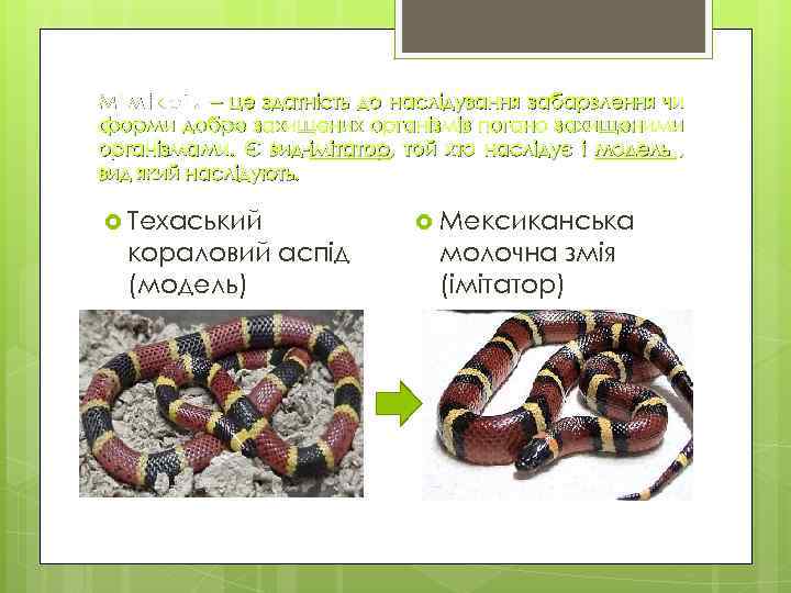 М і м і к р і я – це здатність до наслідування забарвлення