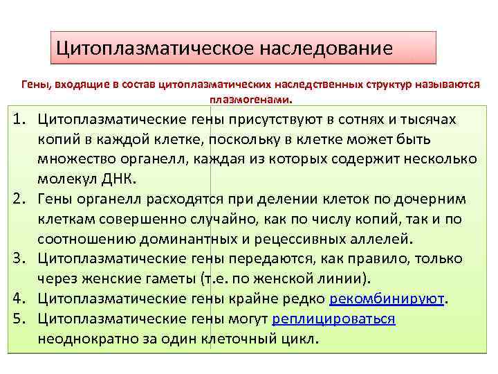 Презентация цитоплазматическая наследственность биология 10 класс