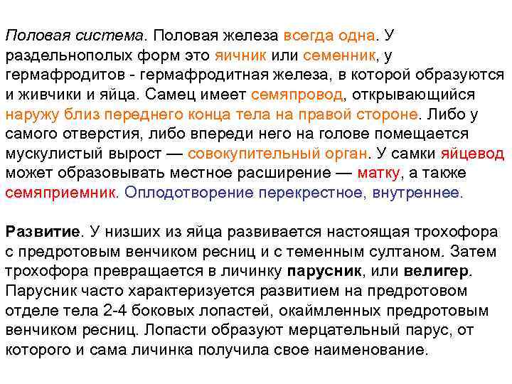 Половая система. Половая железа всегда одна. У раздельнополых форм это яичник или семенник, у