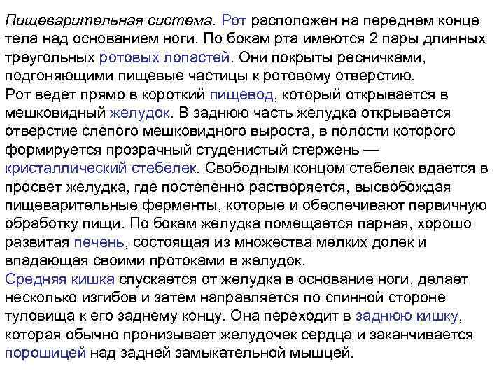 Пищеварительная система. Рот расположен на переднем конце тела над основанием ноги. По бокам рта