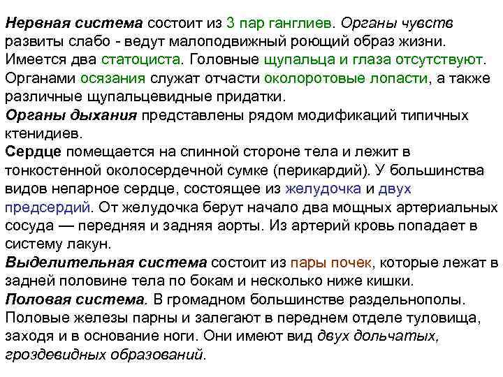 Нервная система состоит из 3 пар ганглиев. Органы чувств развиты слабо - ведут малоподвижный