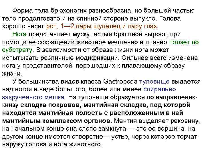 Форма тела брюхоногих разнообразна, но большей частью тело продолговато и на спинной стороне выпукло.