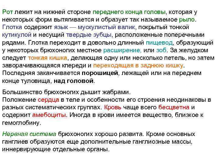 Рот лежит на нижней стороне переднего конца головы, которая у некоторых форм вытягивается и