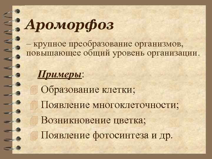 Ароморфоз – крупное преобразование организмов, повышающее общий уровень организации. Примеры: 4 Образование клетки; 4