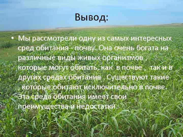Вывод: • Мы рассмотрели одну из самых интересных сред обитания - почву. Она очень