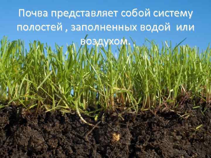 Почва представляет собой систему полостей , заполненных водой или воздухом. 