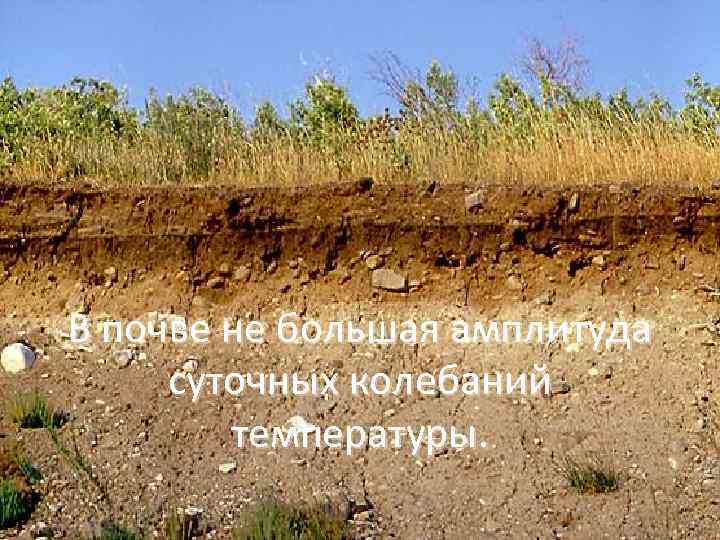 В почве не большая амплитуда суточных колебаний температуры. 