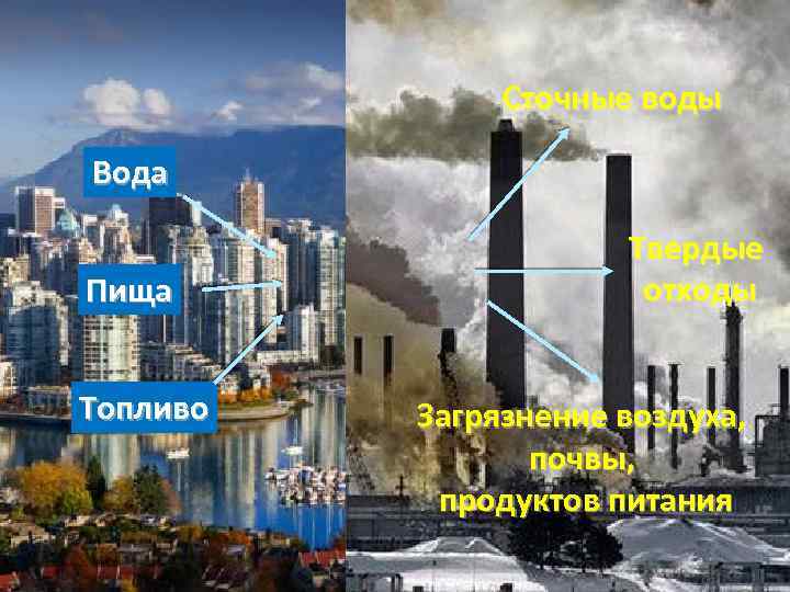 Сточные воды Сточные Вода Пища Топливо Твердые отходы Загрязнение воздуха, почвы, продуктов питания 