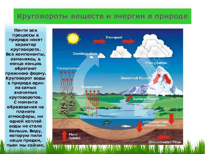 Круговороты веществ и энергии в природе Почти все процессы в природе носят характер круговорота.