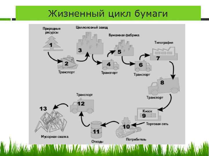 Экологичность всего жизненного цикла. Жизненный цикл лишайников схема. Этапы жизненного цикла бумаги. Этапы жизненного цикла отходов. Жизненный цикл бумаги экология.