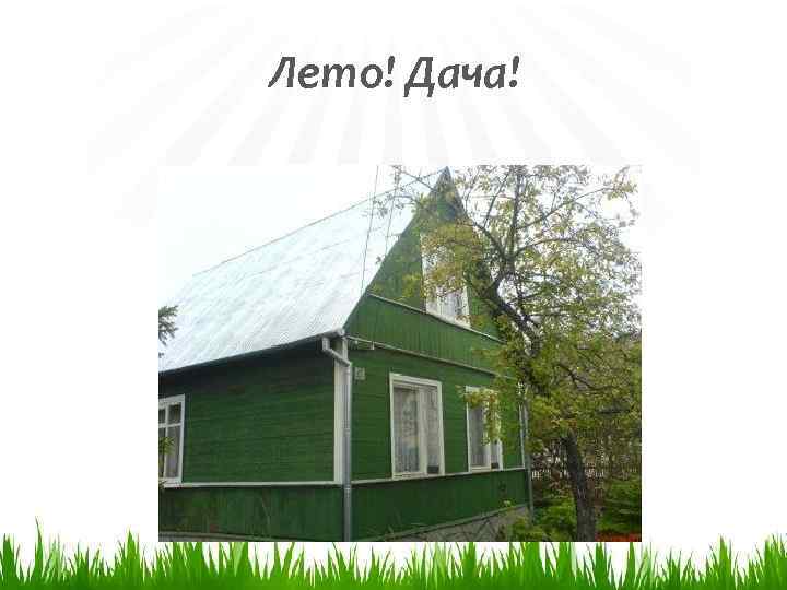 Лето! Дача! 