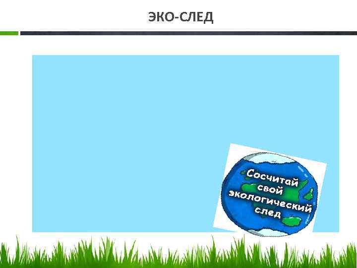 ЭКО-СЛЕД 