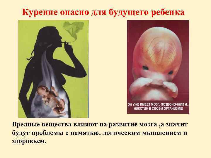 Курение опасно для будущего ребенка Вредные вещества влияют на развитие мозга , а значит