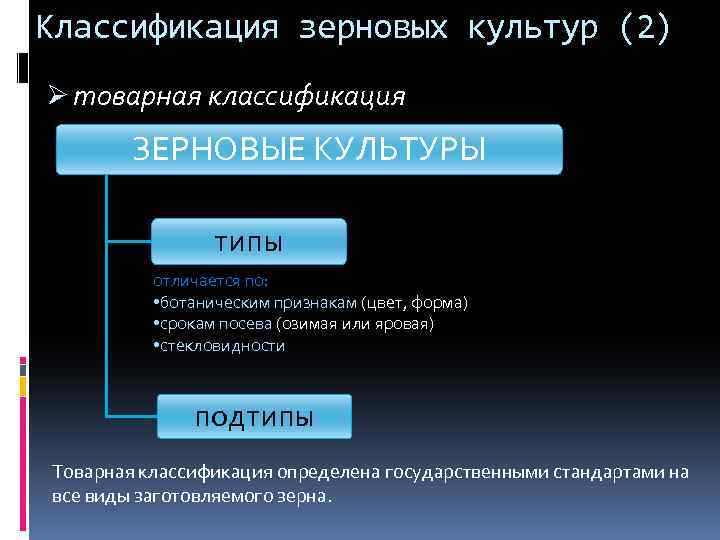 Классификация зерновых культур (2) Ø товарная классификация ЗЕРНОВЫЕ КУЛЬТУРЫ типы отличается по: • ботаническим