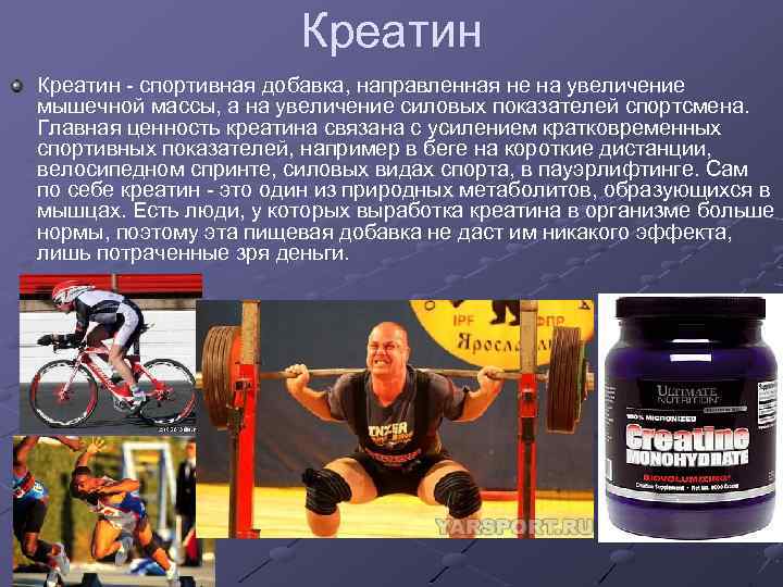 Креатин - спортивная добавка, направленная не на увеличение мышечной массы, а на увеличение силовых