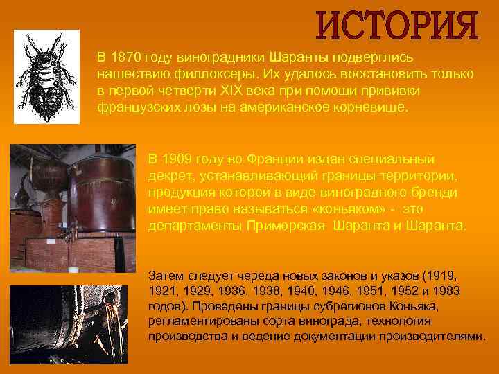 В 1870 году виноградники Шаранты подверглись нашествию филлоксеры. Их удалось восстановить только в первой