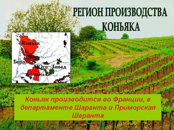 Коньяк производится во Франции, в департаменте Шаранта и Приморская Шаранта 