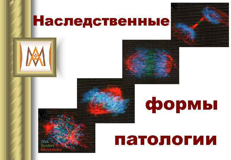 Наследственные формы патологии 