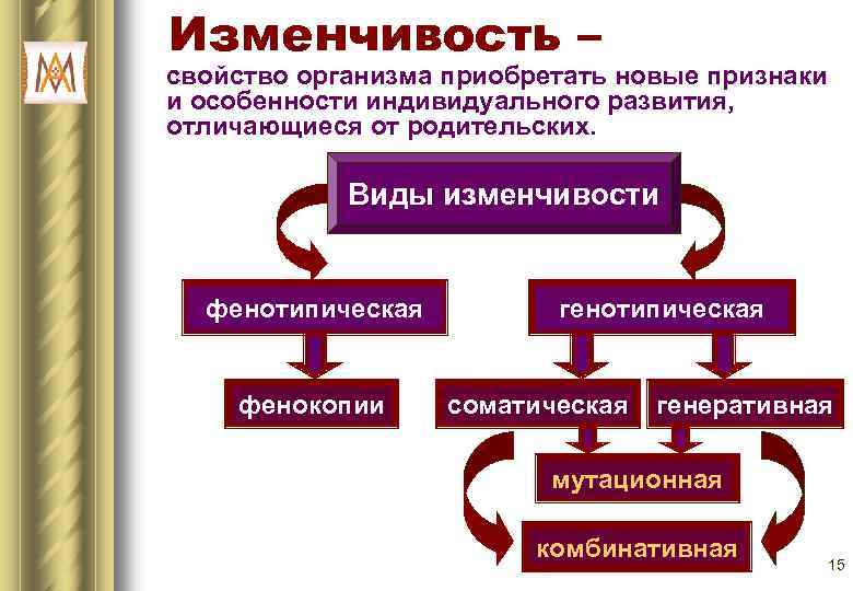 Изменчивость – свойство организма приобретать новые признаки и особенности индивидуального развития, отличающиеся от родительских.
