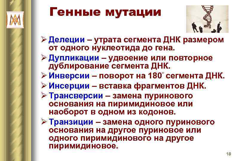 Генные мутации Ø Делеции – утрата сегмента ДНК размером от одного нуклеотида до гена.
