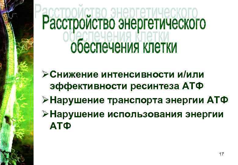 Ø Снижение интенсивности и/или эффективности ресинтеза АТФ Ø Нарушение транспорта энергии АТФ Ø Нарушение