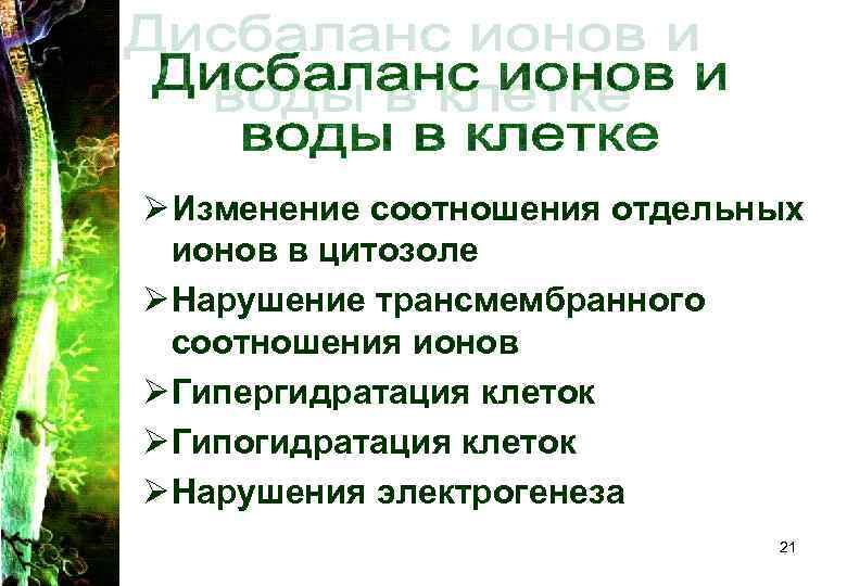 Ø Изменение соотношения отдельных ионов в цитозоле Ø Нарушение трансмембранного соотношения ионов Ø Гипергидратация