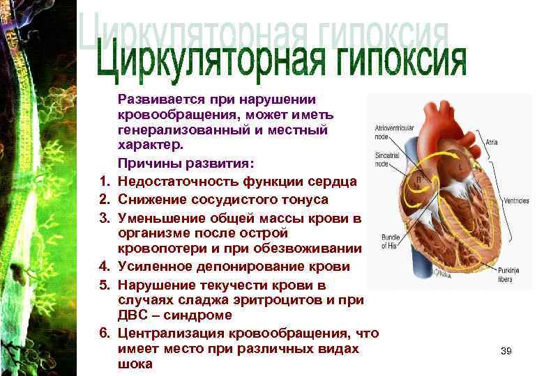1. 2. 3. 4. 5. 6. Развивается при нарушении кровообращения, может иметь генерализованный и