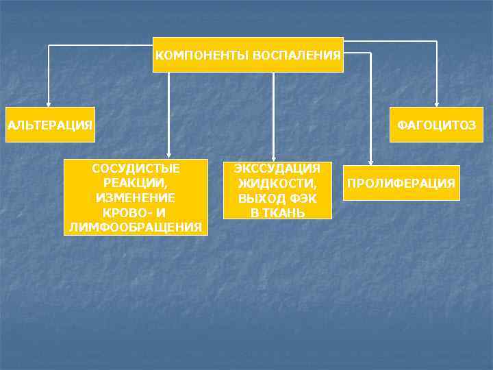 КОМПОНЕНТЫ ВОСПАЛЕНИЯ АЛЬТЕРАЦИЯ СОСУДИСТЫЕ РЕАКЦИИ, ИЗМЕНЕНИЕ КРОВО- И ЛИМФООБРАЩЕНИЯ ФАГОЦИТОЗ ЭКССУДАЦИЯ ЖИДКОСТИ, ВЫХОД ФЭК