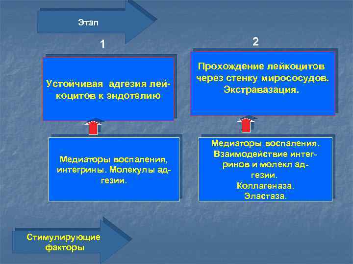 Рассмотрите схему воспалительного процесса