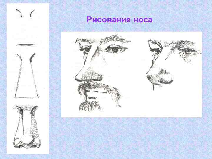 Рисование носа 