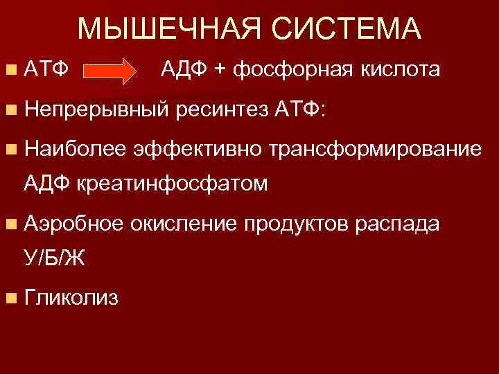 МЫШЕЧНАЯ СИСТЕМА n АТФ АДФ + фосфорная кислота n Непрерывный ресинтез АТФ: n Наиболее