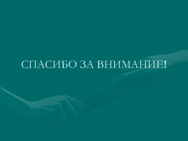 СПАСИБО ЗА ВНИМАНИЕ! 