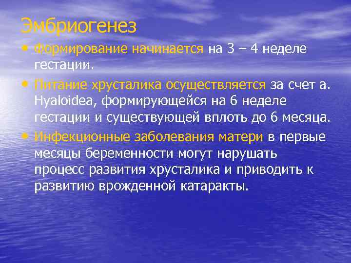 Эмбриогенез • Формирование начинается на 3 – 4 неделе • • гестации. Питание хрусталика