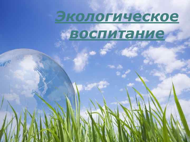 Экологическое воспитание 