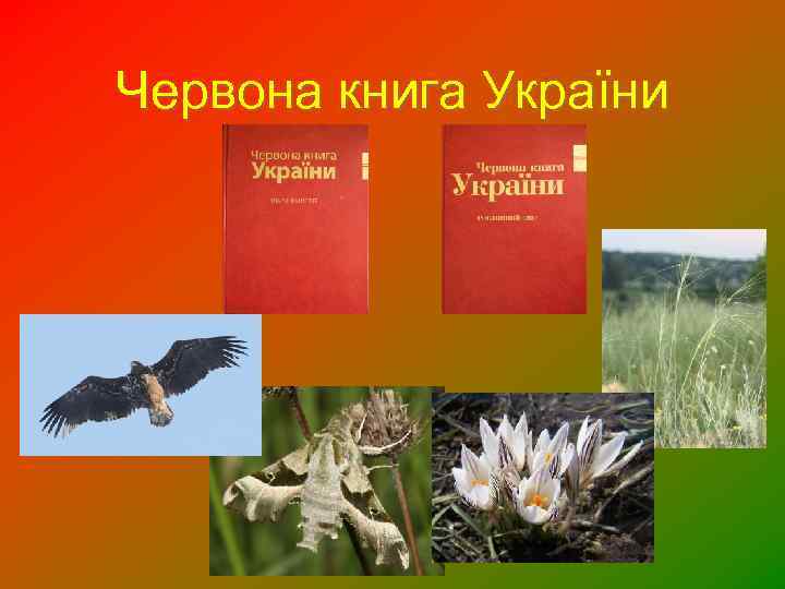 Червона книга України 