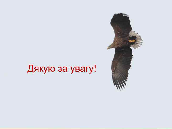 Дякую за увагу! 