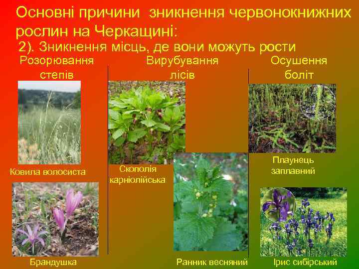 Основні причини зникнення червонокнижних рослин на Черкащині: 2). Зникнення місць, де вони можуть рости