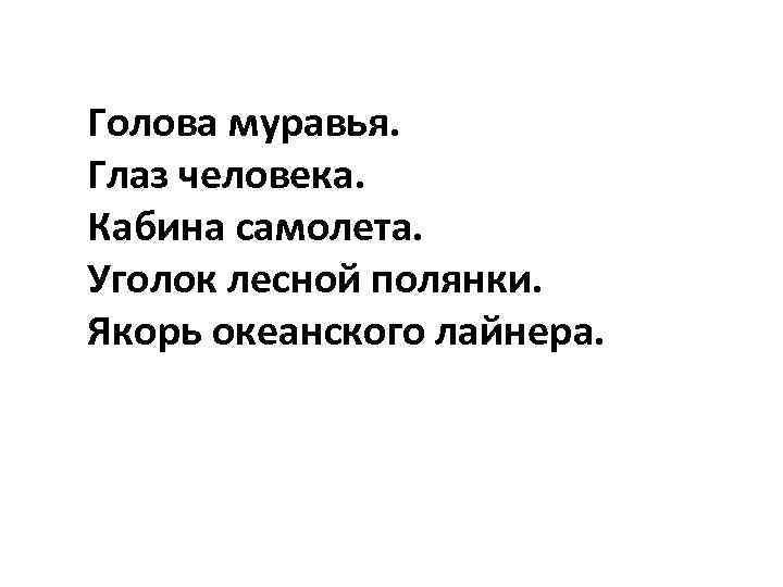 Голова муравья. Глаз человека. Кабина самолета. Уголок лесной полянки. Якорь океанского лайнера. 