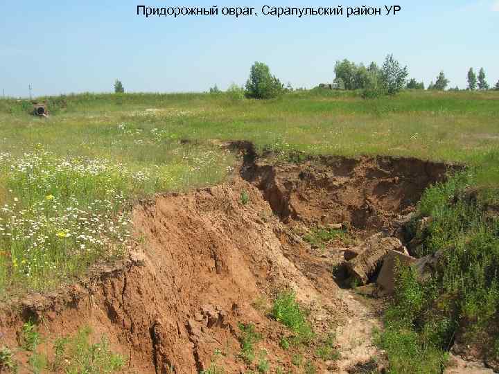 Придорожный овраг, Сарапульский район УР 