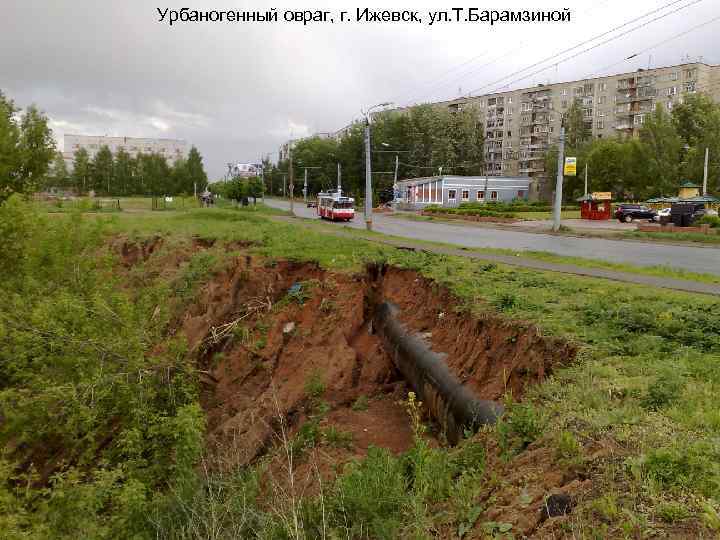 Урбаногенный овраг, г. Ижевск, ул. Т. Барамзиной 