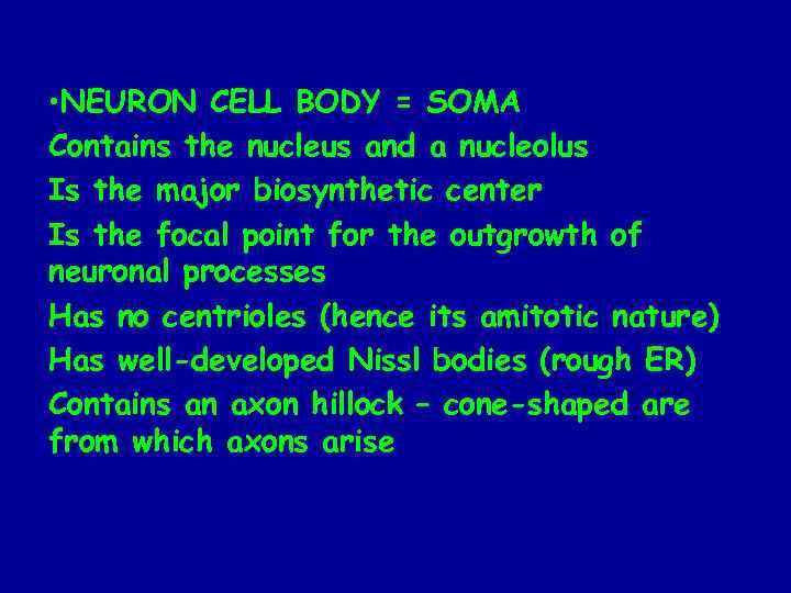  • NEURON CELL BODY = SOMA Contains the nucleus and a nucleolus Is