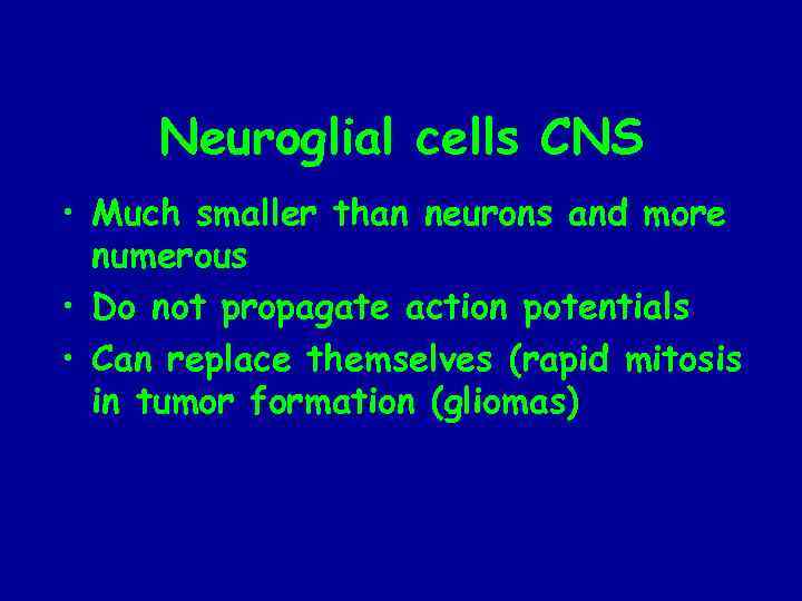 Neuroglial cells CNS • Much smaller than neurons and more numerous • Do not