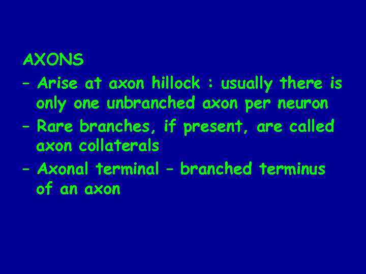 AXONS – Arise at axon hillock : usually there is only one unbranched axon