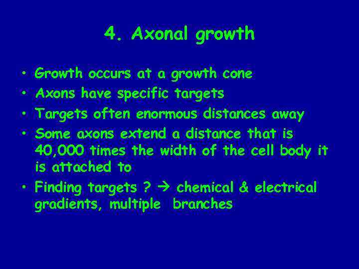 4. Axonal growth • • Growth occurs at a growth cone Axons have specific