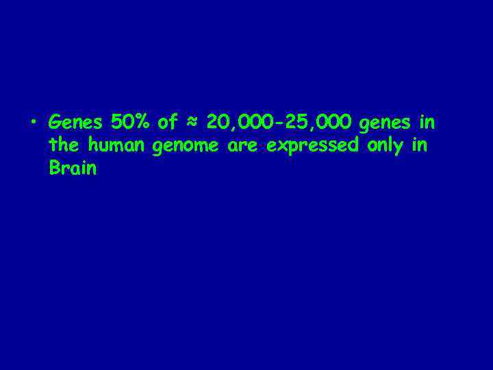  • Genes 50% of ≈ 20, 000 -25, 000 genes in the human