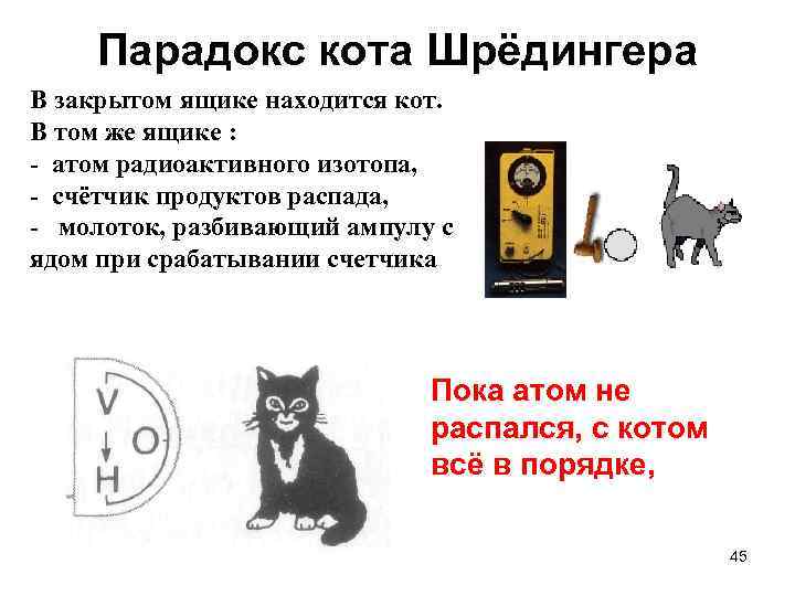 Парадокс кота Шрёдингера В закрытом ящике находится кот. В том же ящике : -
