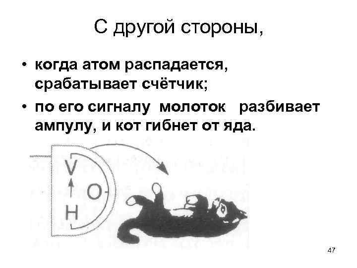 С другой стороны, • когда атом распадается, срабатывает счётчик; • по его сигналу молоток