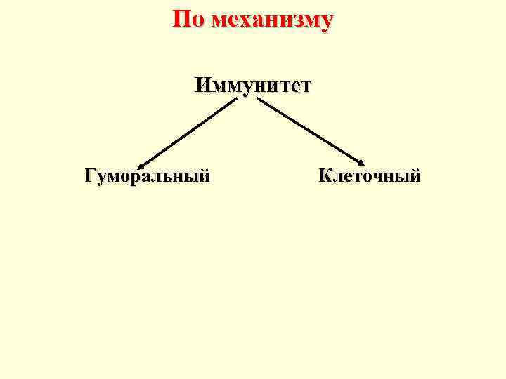 По механизму Иммунитет Гуморальный Клеточный 