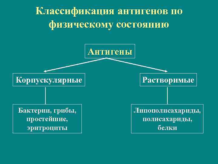 Классификация антигенов по физическому состоянию Антигены Корпускулярные Растворимые Бактерии, грибы, простейшие, эритроциты Липополисахариды, белки